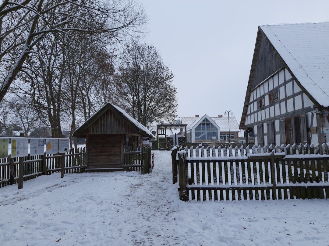 Domki całoroczne z drewna: harmonia z naturą 7 Photo wooden houses