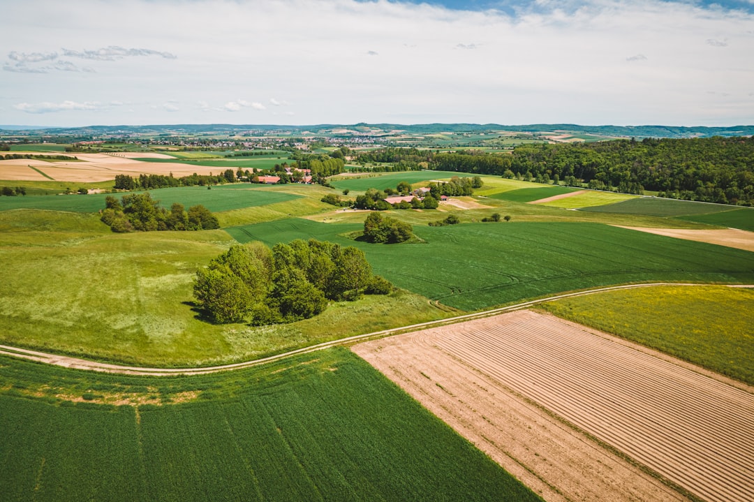 Trendy w inwestycjach gruntowych: Nowe możliwości dla inwestorów 8 Photo investing in land